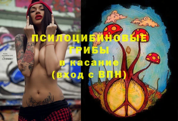 бошки Кукмор