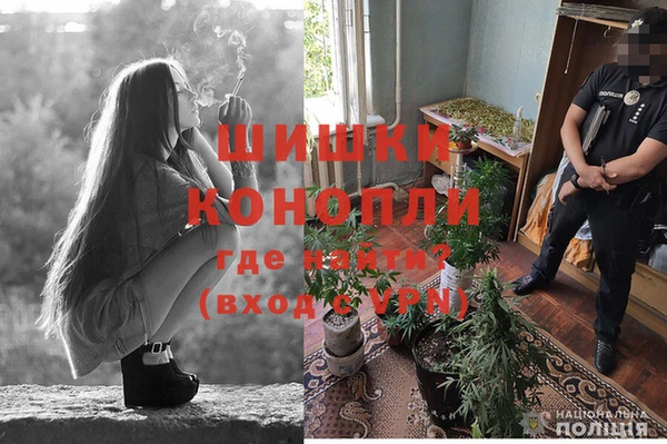 бошки Кукмор