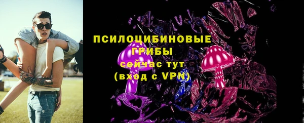 ПСИЛОЦИБИНОВЫЕ ГРИБЫ Куйбышев