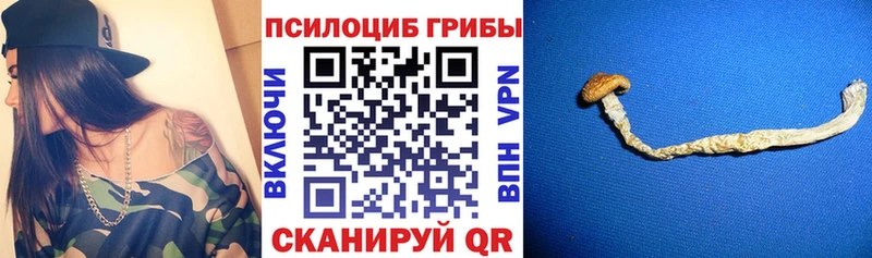 цены   Холмск  ссылка на мегу ТОР  Галлюциногенные грибы Cubensis 