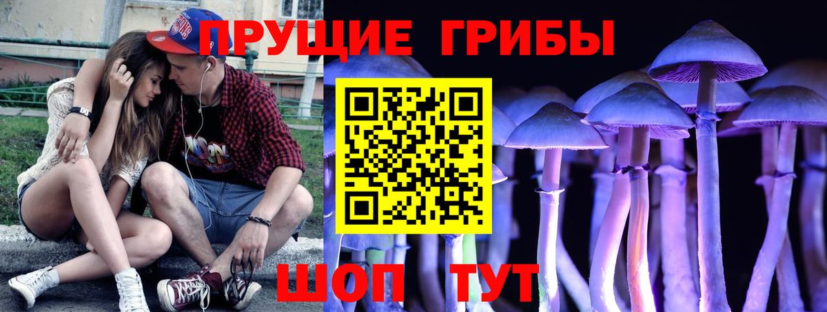 Псилоцибиновые грибы Psilocybine cubensis  Вход с VPN  Галлюциногенные грибы MAGIC MUSHROOMS  даркнет сайт  Холмск 